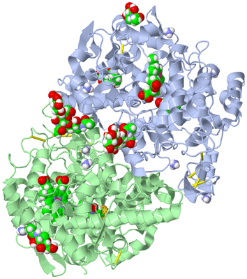 Image Asym./Biol. Unit