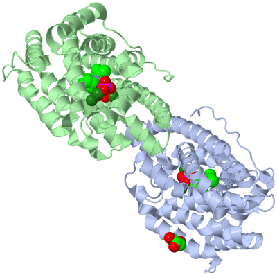 Image Biological Unit 1