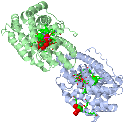 Image Biol. Unit 1 - sites