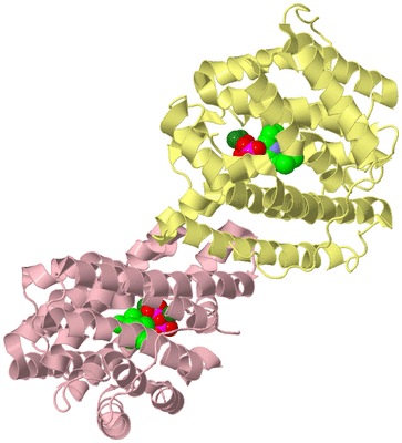 Image Biological Unit 2