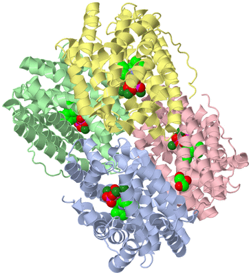 Image Biological Unit 3