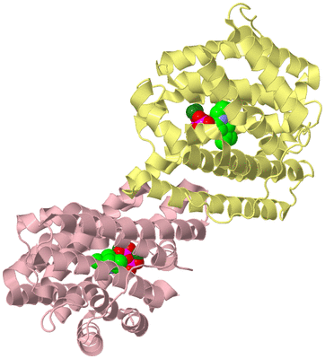 Image Biological Unit 2