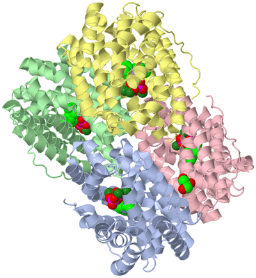 Image Biological Unit 3