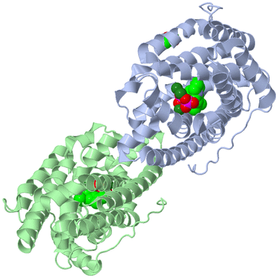 Image Biological Unit 1