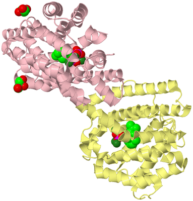 Image Biological Unit 2