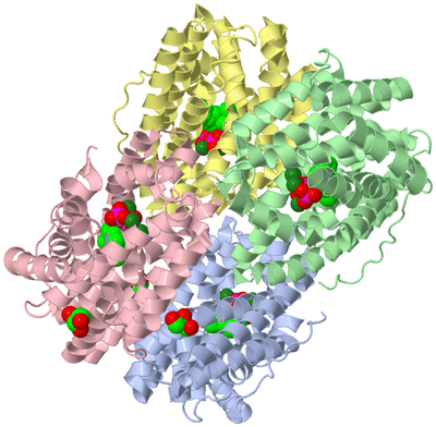 Image Biological Unit 3