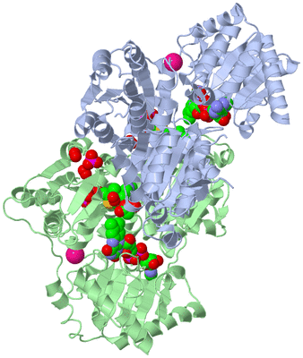 Image Asym./Biol. Unit