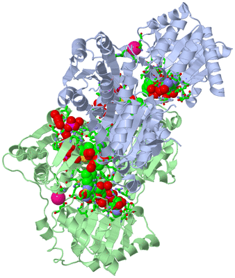 Image Asym./Biol. Unit - sites