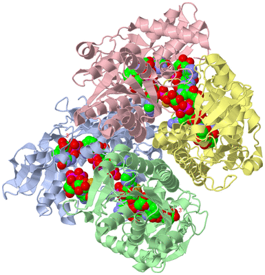 Image Asym./Biol. Unit