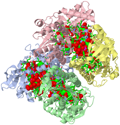 Image Asym./Biol. Unit - sites