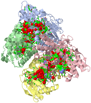 Image Asym./Biol. Unit - sites