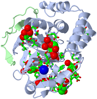 Image Asym./Biol. Unit - sites