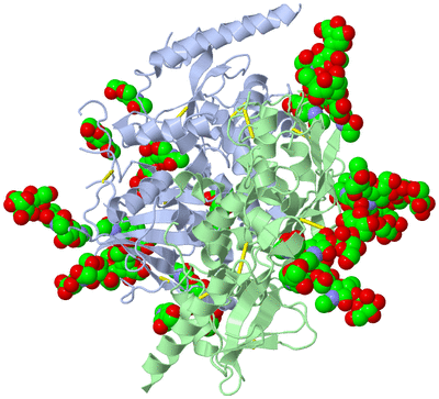 Image Asym./Biol. Unit