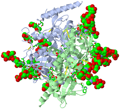 Image Asym./Biol. Unit - sites