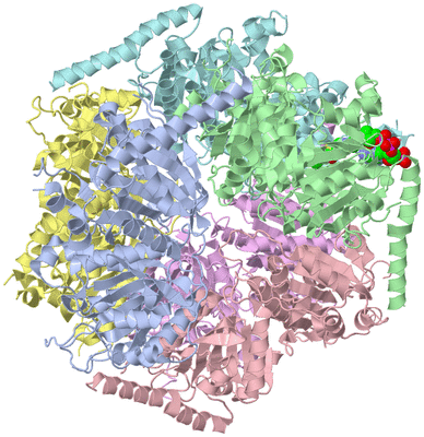 Image Asym./Biol. Unit
