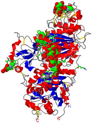 Image Asym./Biol. Unit - sites