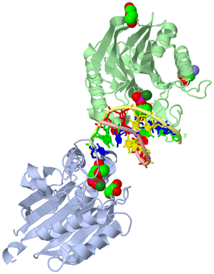 Image Asym./Biol. Unit