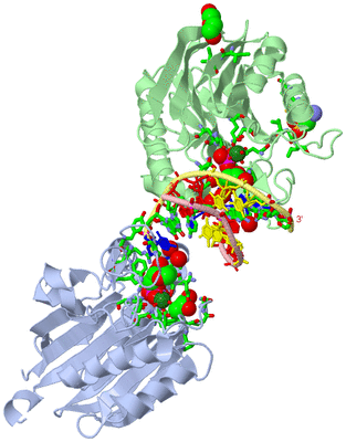 Image Asym./Biol. Unit - sites