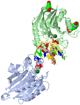 Image Asym./Biol. Unit