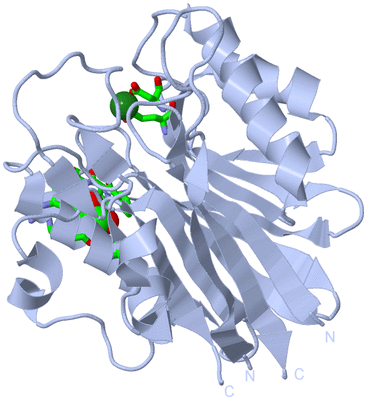 Image Biol. Unit 1 - sites