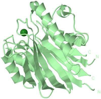 Image Biological Unit 2