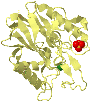 Image Biological Unit 4