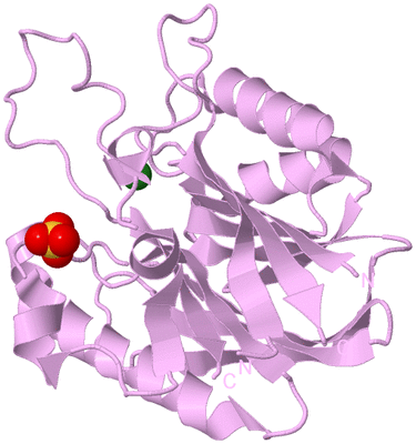 Image Biological Unit 5