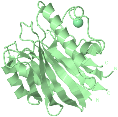 Image Biological Unit 2