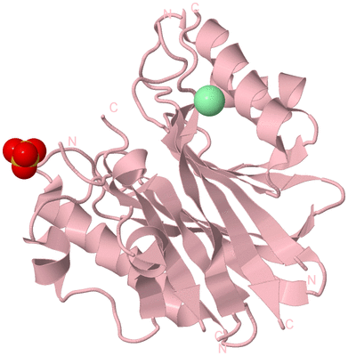 Image Biological Unit 3