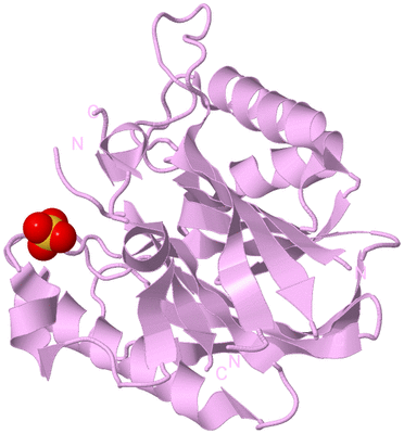 Image Biological Unit 5