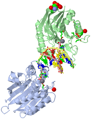 Image Asym./Biol. Unit - sites