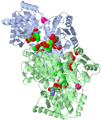 Image Asym./Biol. Unit