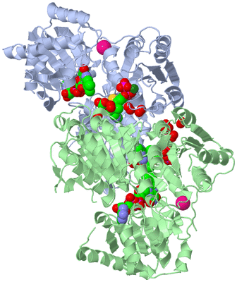 Image Asym./Biol. Unit