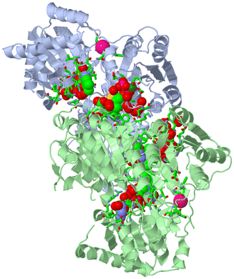 Image Asym./Biol. Unit - sites