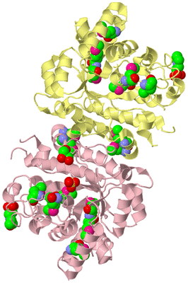 Image Biological Unit 2