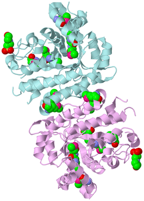 Image Biological Unit 3