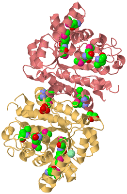 Image Biological Unit 4