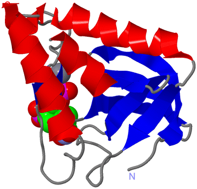 Image Asym./Biol. Unit