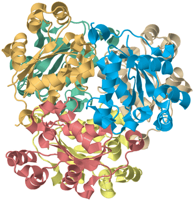 Image Biological Unit 2