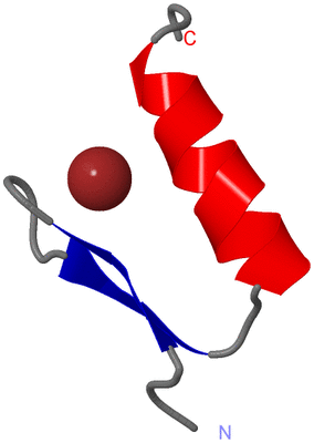 Image NMR Structure - model 1