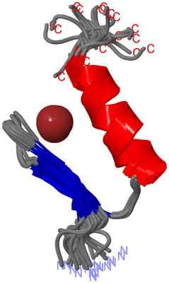 Image NMR Structure - all models