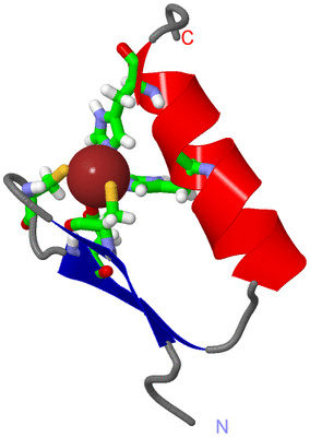 Image NMR Structure - model 1, sites