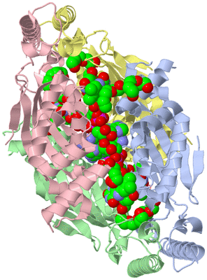 Image Asym./Biol. Unit