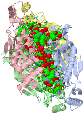 Image Asym./Biol. Unit - sites