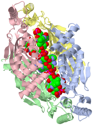 Image Asym./Biol. Unit