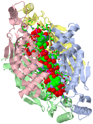 Image Asym./Biol. Unit - sites