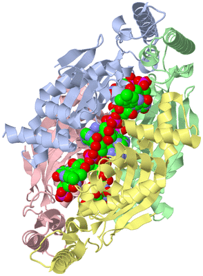 Image Asym./Biol. Unit