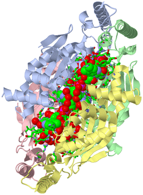 Image Asym./Biol. Unit - sites