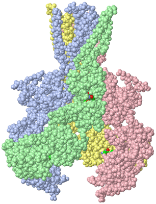 Image Asym./Biol. Unit - sites