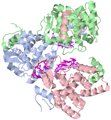 Image Asym./Biol. Unit